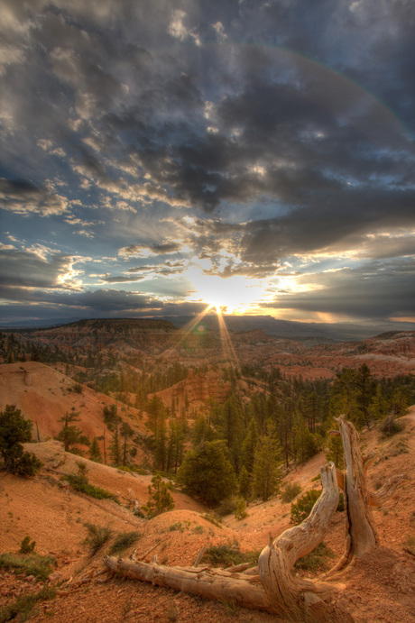 Zonopkomst Bryce Canyon VS