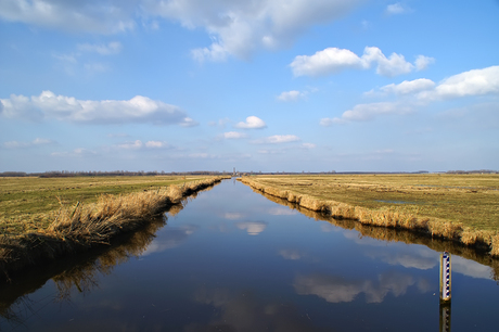 Polder Arkemheen -2-