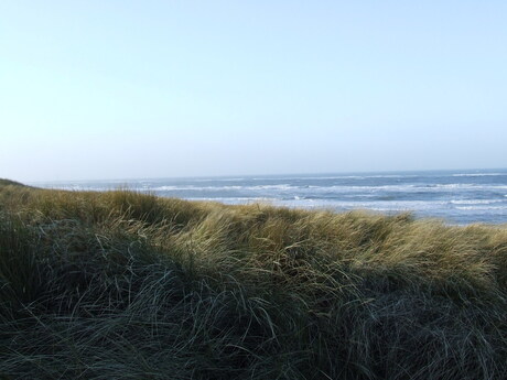 Texel