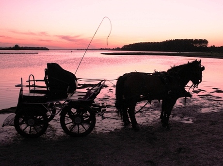 paard metwagen zonsondergang