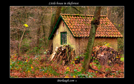 Little house in the forrest