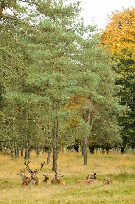 herfst, en we hebben het goed