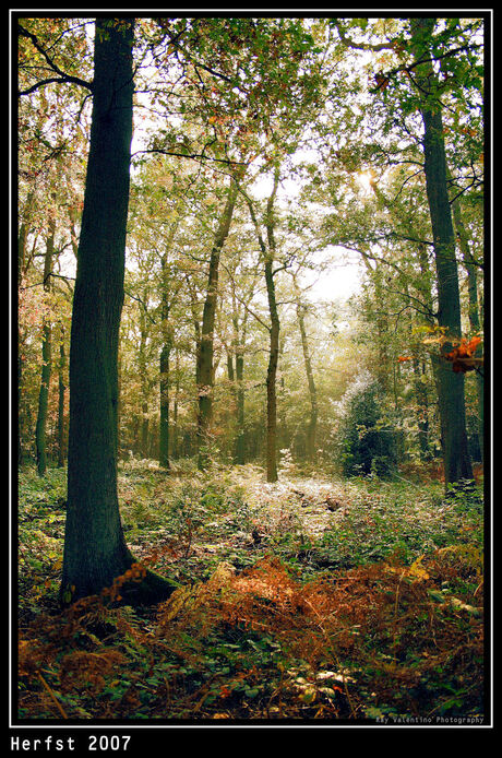 Herfst in Assen