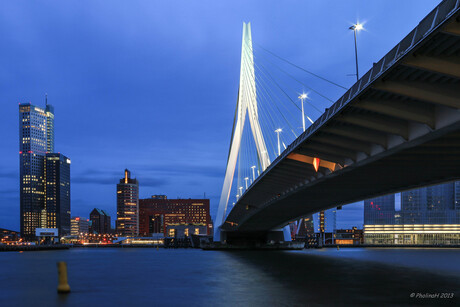 Under the bridge (Erasmusbrug)