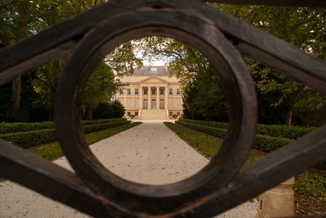 Oog op Château Margaux