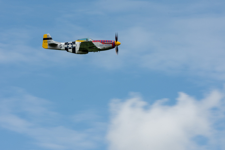 P51 Mustang Damn Yankee