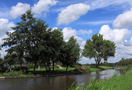 Hollandse polder 3