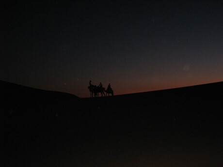 woestijn by night