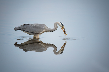 fishing...