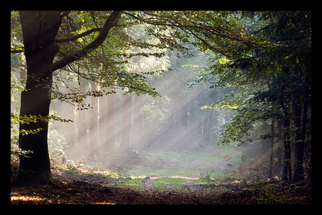 Schrijven met licht