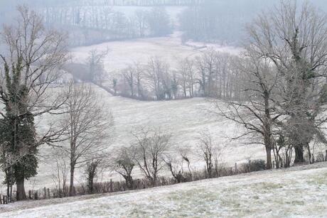 bevroren landschap