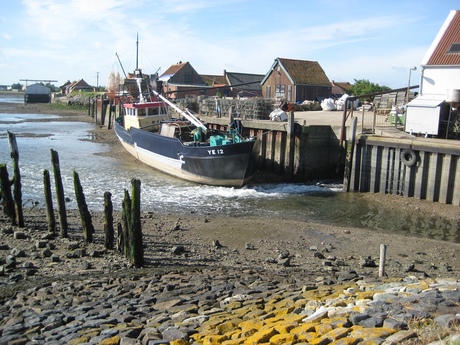 yerseke dus oesters.jpg