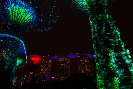 Gardens by the Bay