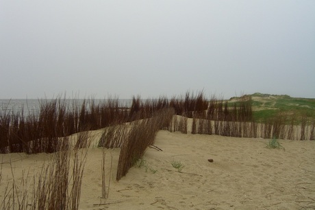 op Texel