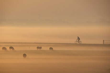 fietsen in de mist 2