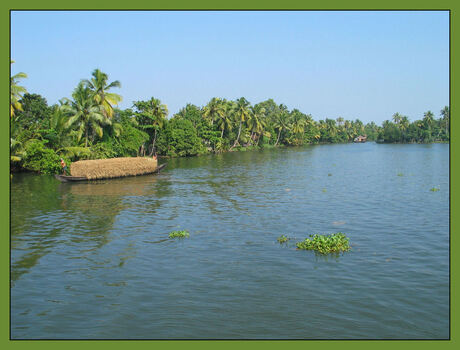 Backwaters, Zuid-India