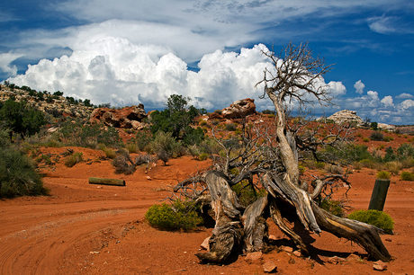 Red dust