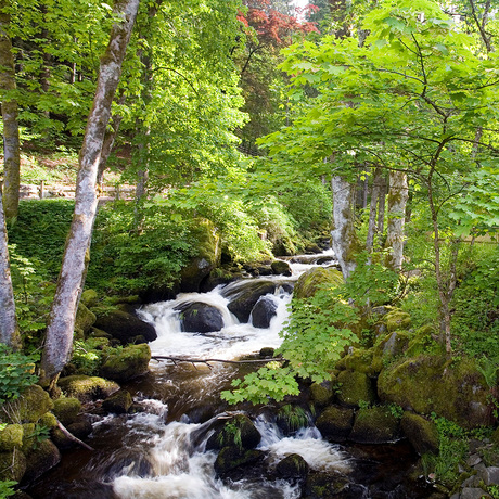 Triberg