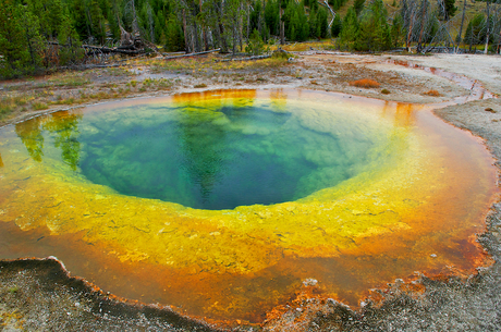 Morning Glory Pool