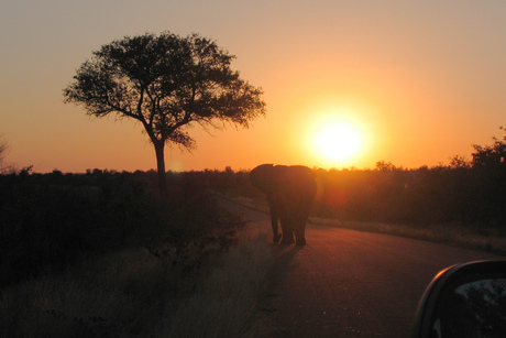 Sunset in Africa