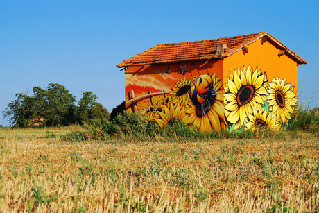 Huisje in langedoc, Frankrijk