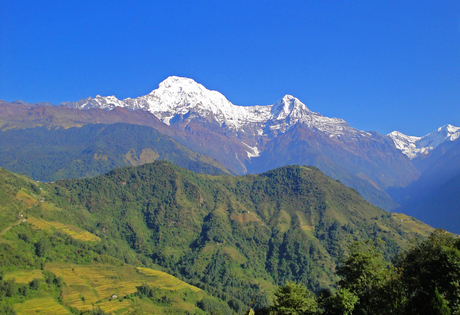 Verschil in begroeiing Annapurna massief (Nepal)