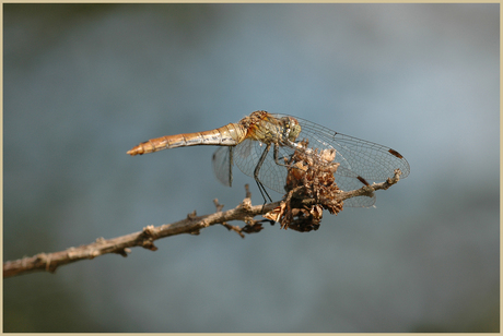 Wat is de natuur toch mooi! 2