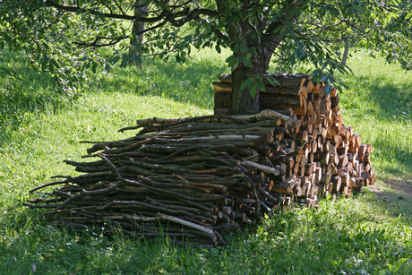 Firewood 1