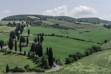 Toscaans landschap 4