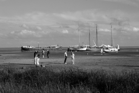 terschelling; groene strand