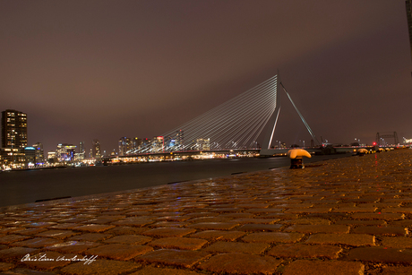 Rotterdam At Night 2014