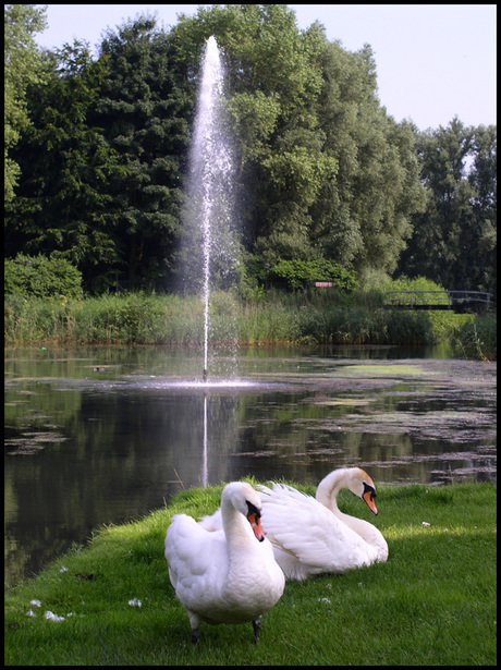 Romantisch aan het water