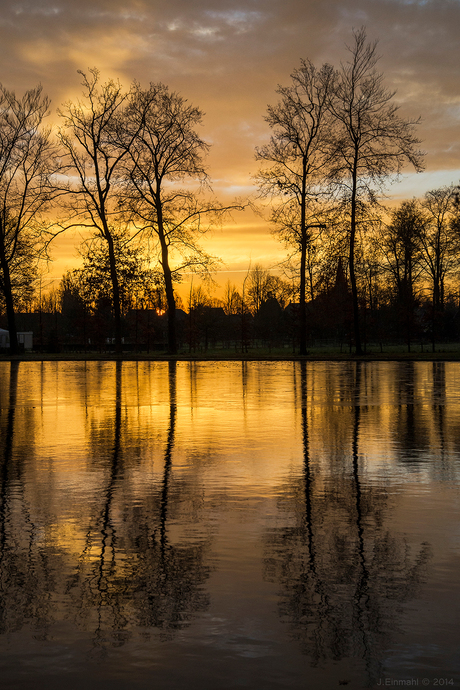 Golden morning