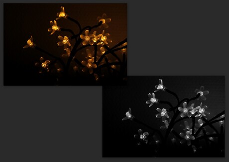 bloemenlampjes