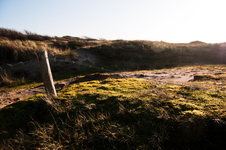 duinen