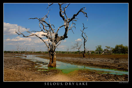 Selous dry lake