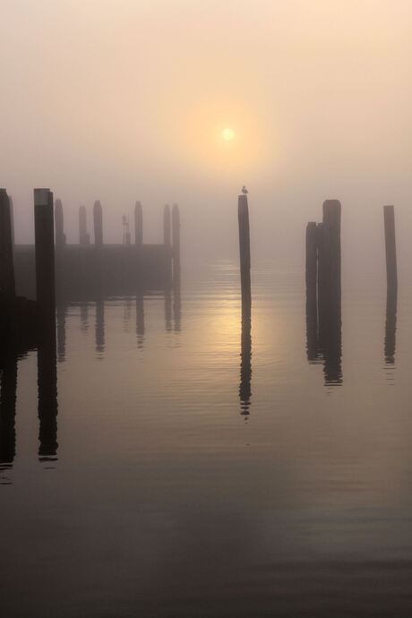 Zonsondergang in de mist