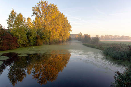 Ochtend in de herfst