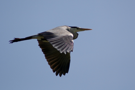 In vogelvlucht