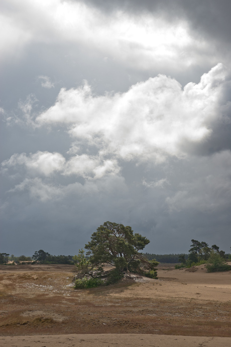 Kootwijkerzand