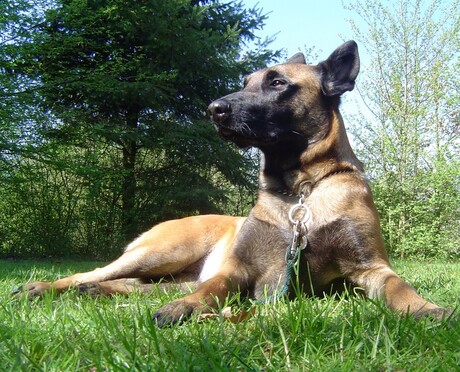 Ze heeft graag overzicht