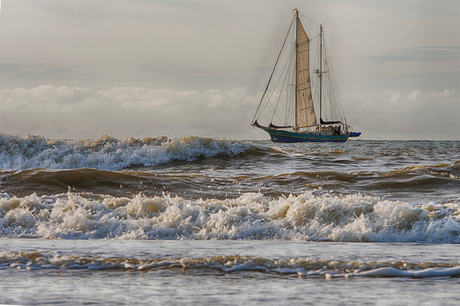 Zoommiddag Scheveningen