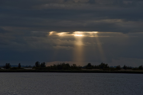 Sundown at Oostvaardersplassen