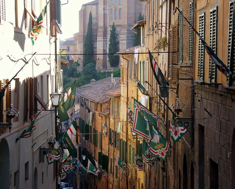 Siena street during Palio