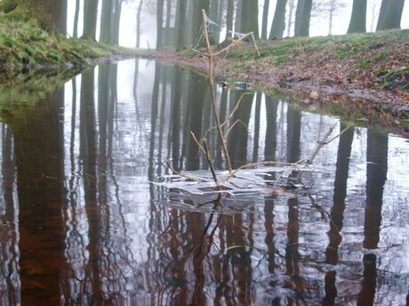 Natuurlijk kunstwerk