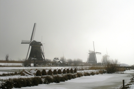 Kinderdijk 2005 (2)