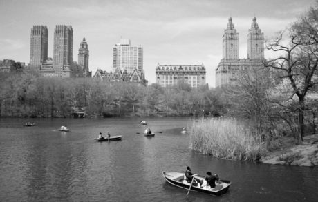 Central park, New York