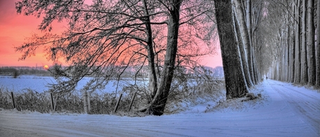 Winterochtend panorama