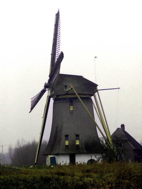 Molen in de mist