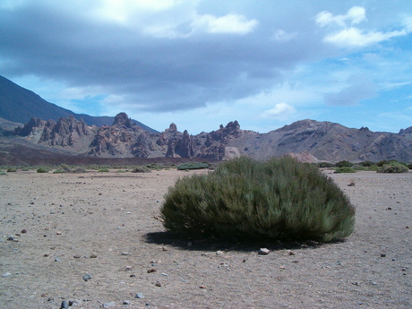 landschap El Teide